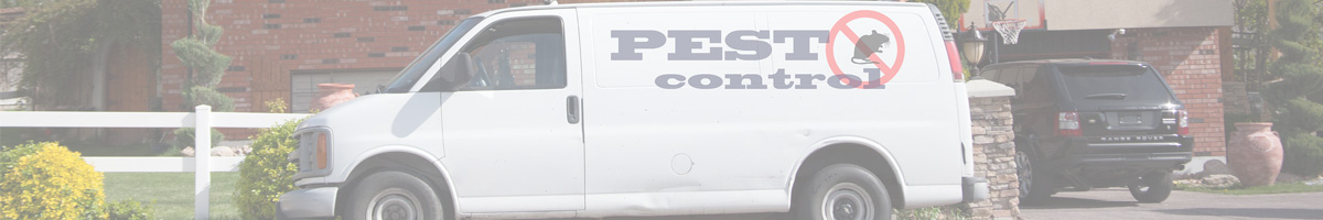 generic pest control van, photo credit: insightpest.com