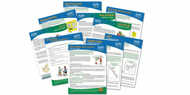 image of fact sheets