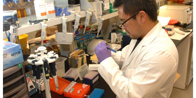 laboratory chemist