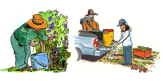 farmworkers