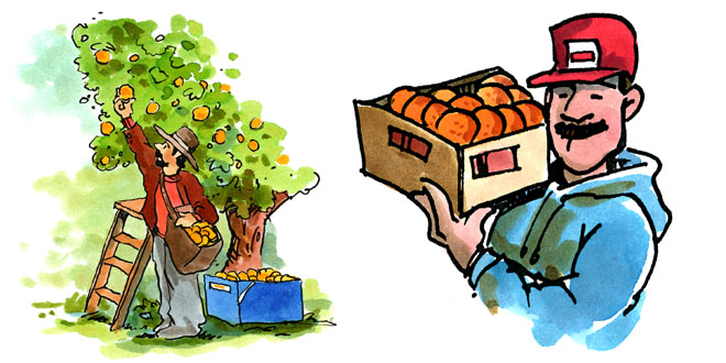 man with oranges
